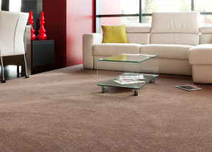 carpet-cleaning-somerset