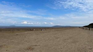 Berrow Beach